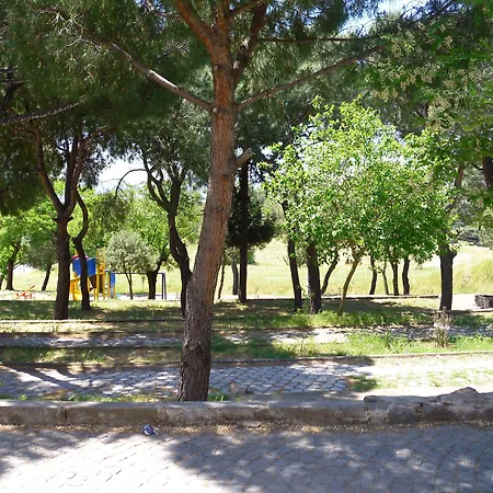 ホテル Akropolis 3*