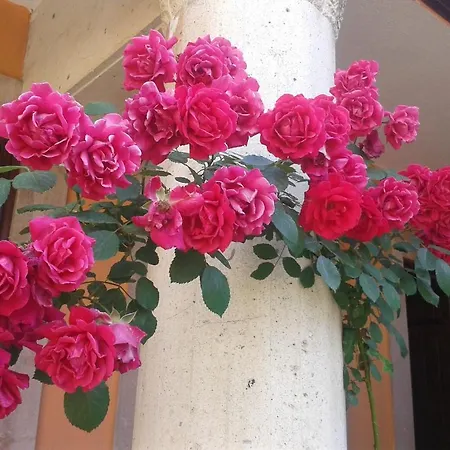 Akropolis Hotel Bergama