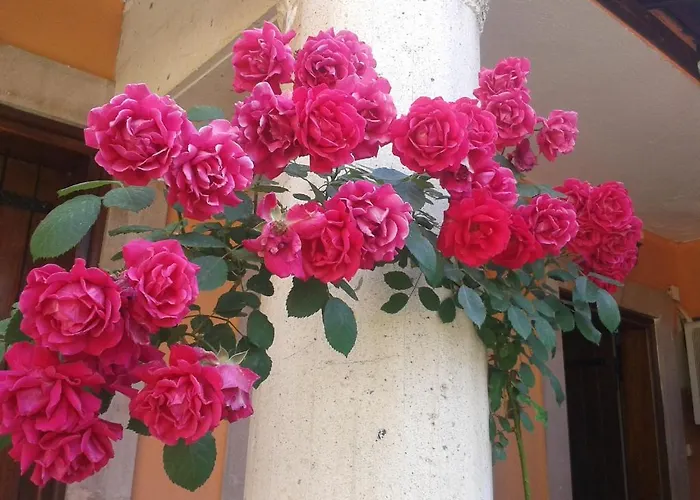 Akropolis מלון ברגאמה